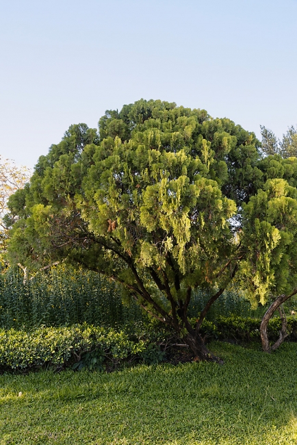 Promenade à Suan Luang avec Potter-022